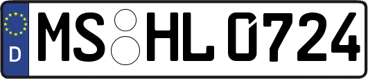 MS-HL0724