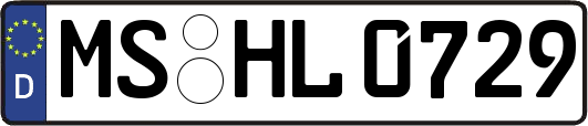 MS-HL0729