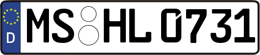 MS-HL0731