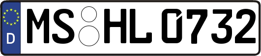 MS-HL0732