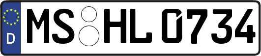 MS-HL0734