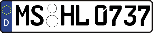 MS-HL0737