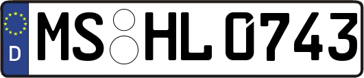 MS-HL0743