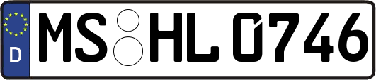 MS-HL0746