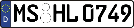 MS-HL0749