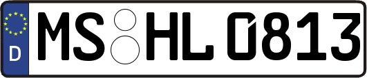 MS-HL0813