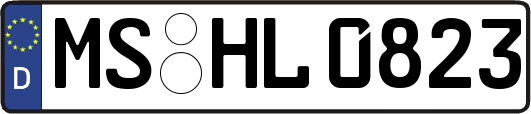 MS-HL0823