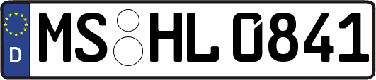 MS-HL0841