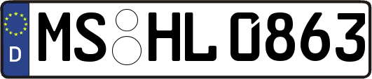 MS-HL0863