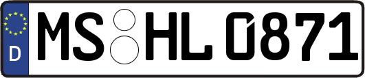 MS-HL0871