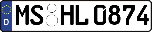 MS-HL0874