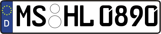 MS-HL0890