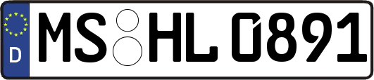 MS-HL0891