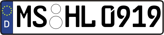 MS-HL0919