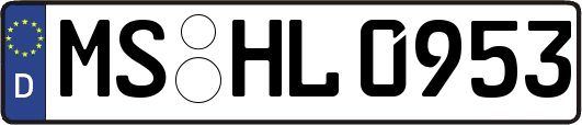 MS-HL0953