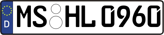 MS-HL0960