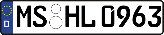 MS-HL0963