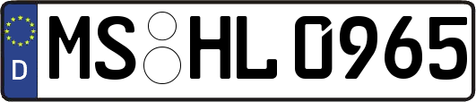 MS-HL0965
