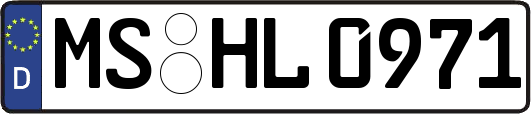 MS-HL0971