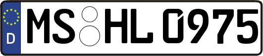 MS-HL0975