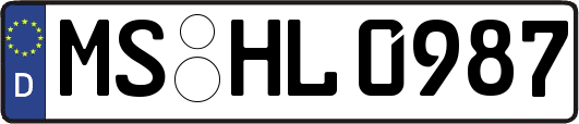 MS-HL0987