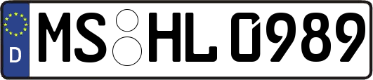 MS-HL0989