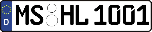 MS-HL1001