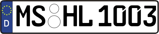 MS-HL1003
