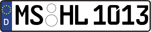 MS-HL1013