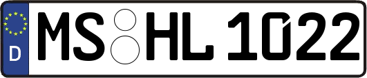 MS-HL1022