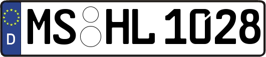 MS-HL1028