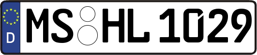 MS-HL1029