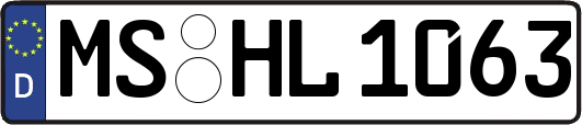 MS-HL1063