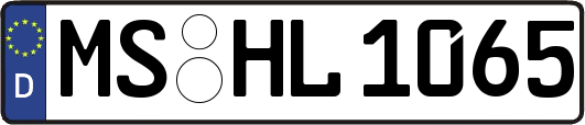 MS-HL1065
