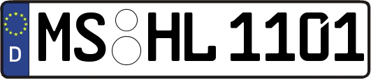 MS-HL1101