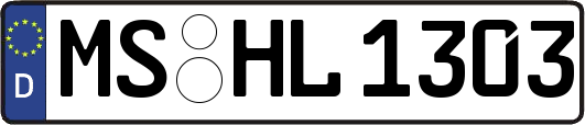 MS-HL1303