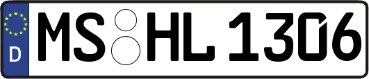 MS-HL1306