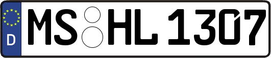 MS-HL1307