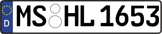 MS-HL1653