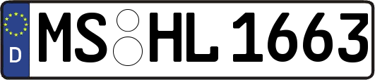 MS-HL1663