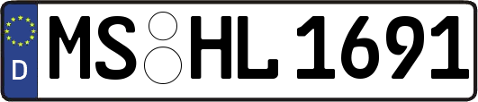 MS-HL1691
