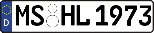 MS-HL1973