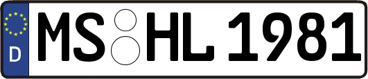 MS-HL1981