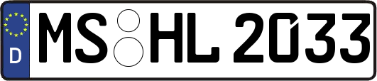 MS-HL2033