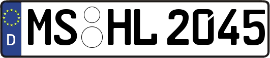 MS-HL2045