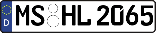 MS-HL2065