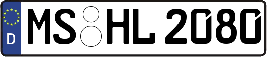 MS-HL2080