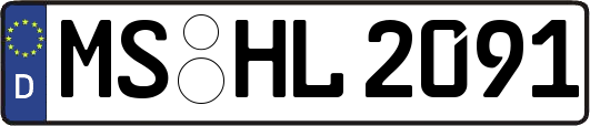 MS-HL2091