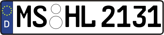 MS-HL2131