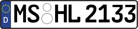 MS-HL2133
